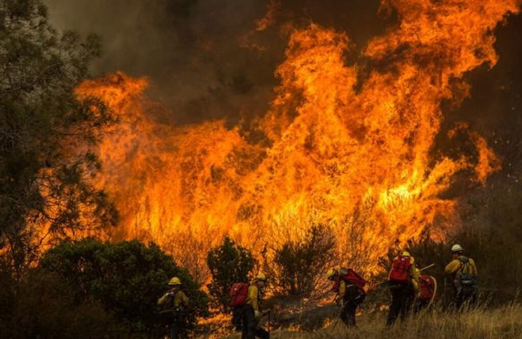 Incendios forestales 