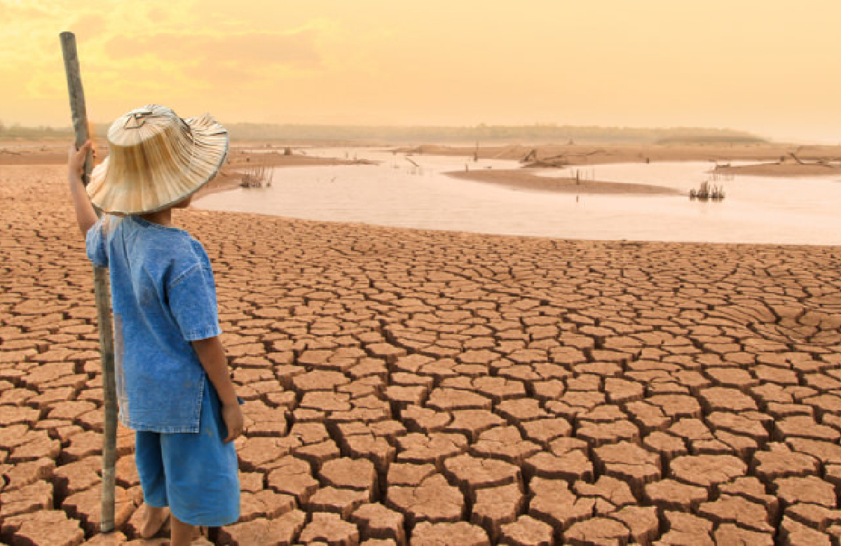 El cambio climático es uno de los mayores retos que ha enfrentado la humanidad, con los cuales se ha lidiado en las últimas décadas. 