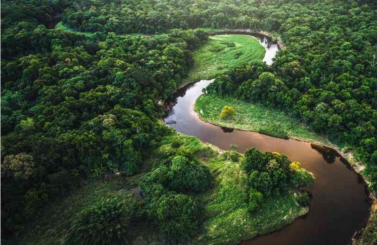 medio ambiente