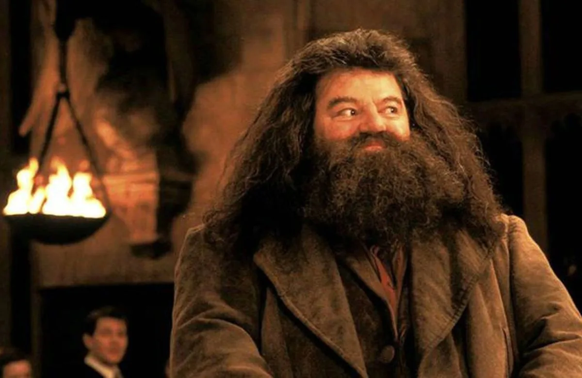 Hagrid