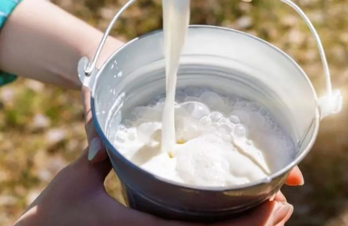 La leche en Colombia continuará en aumento su precio