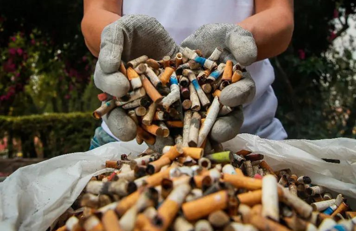 Colillas de cigarros; una basura naturalizada y el daño al medio ambiente