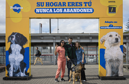 Alianza estratégica entre Pedigree y TransMilenio contra el abandono animal