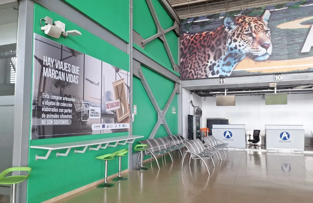 Campaña "Hay Viajes que Marcan Vidas" para combatir el tráfico de fauna silvestre en aeropuertos
