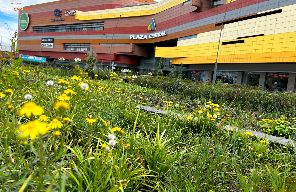 Plaza Central alcanza la certificación LEED Platino en Operación y Mantenimiento