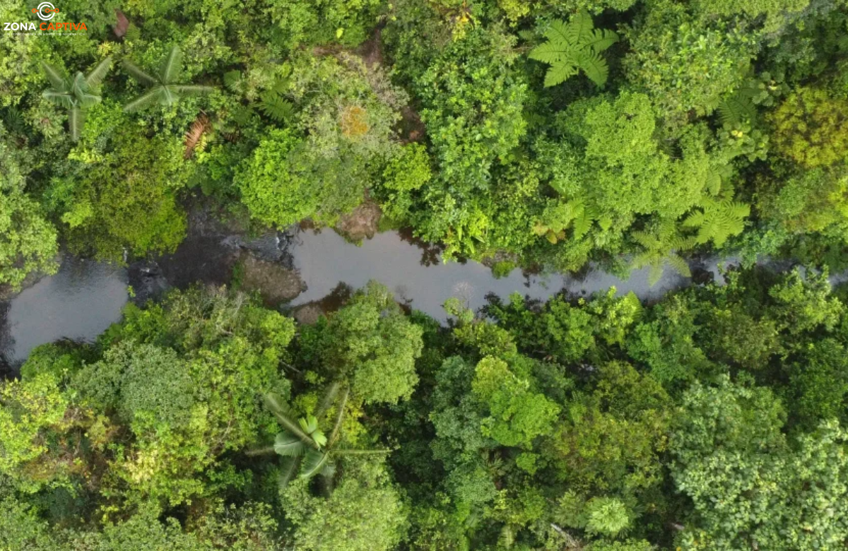 Dos destinos colombianos entre los mejores lugares para visitar en 2025 según The New York Times