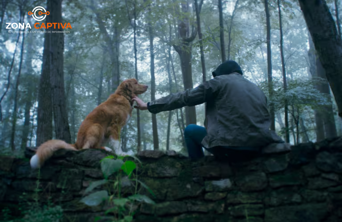 El horror tiene nuevos ojos: llega a Colombia GOOD BOY, la película de terror contada desde la mirada de un perro