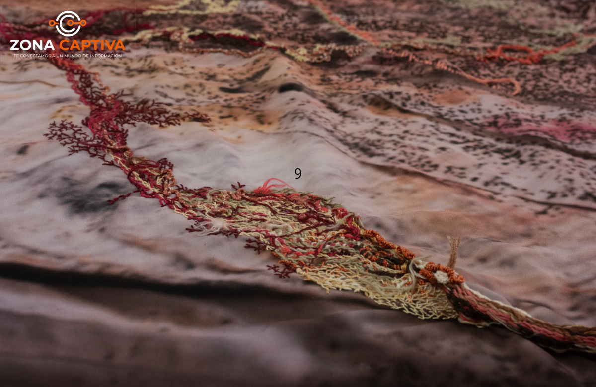 Naturaleza y transformación inauguran el primer ciclo expositivo 2026 del MAMBO