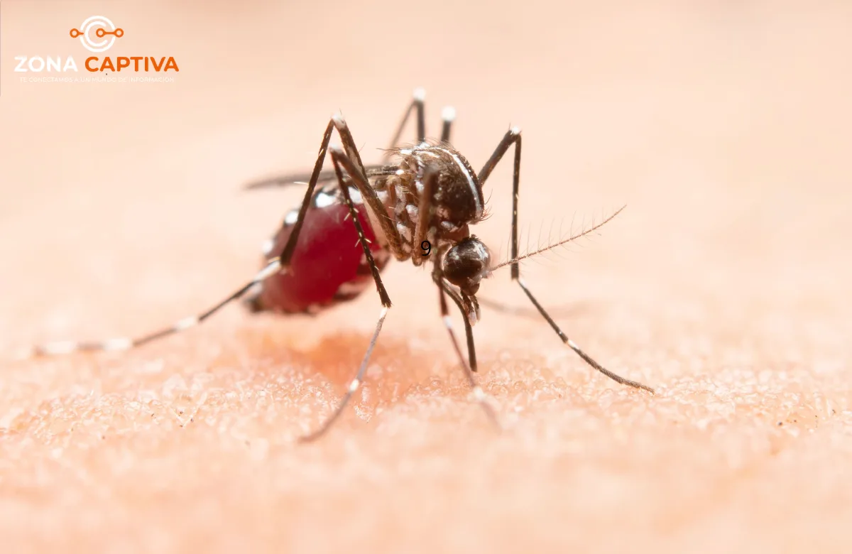 Diagnóstico tardío afecta hasta el 50% de casos de dengue y Chagas en Colombia