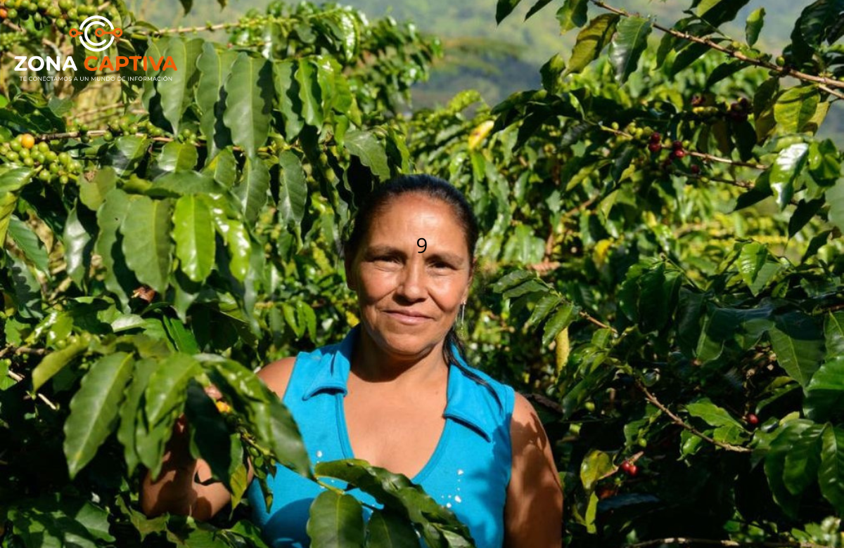 Starbucks impulsa el liderazgo femenino y presenta sus nuevas bebidas de temporada en Colombia