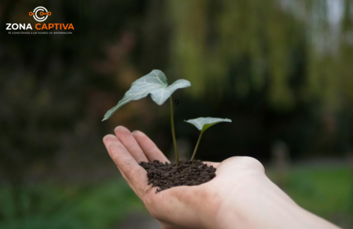 Ciudadanía exige soluciones estructurales ante la contaminación del aire en Colombia