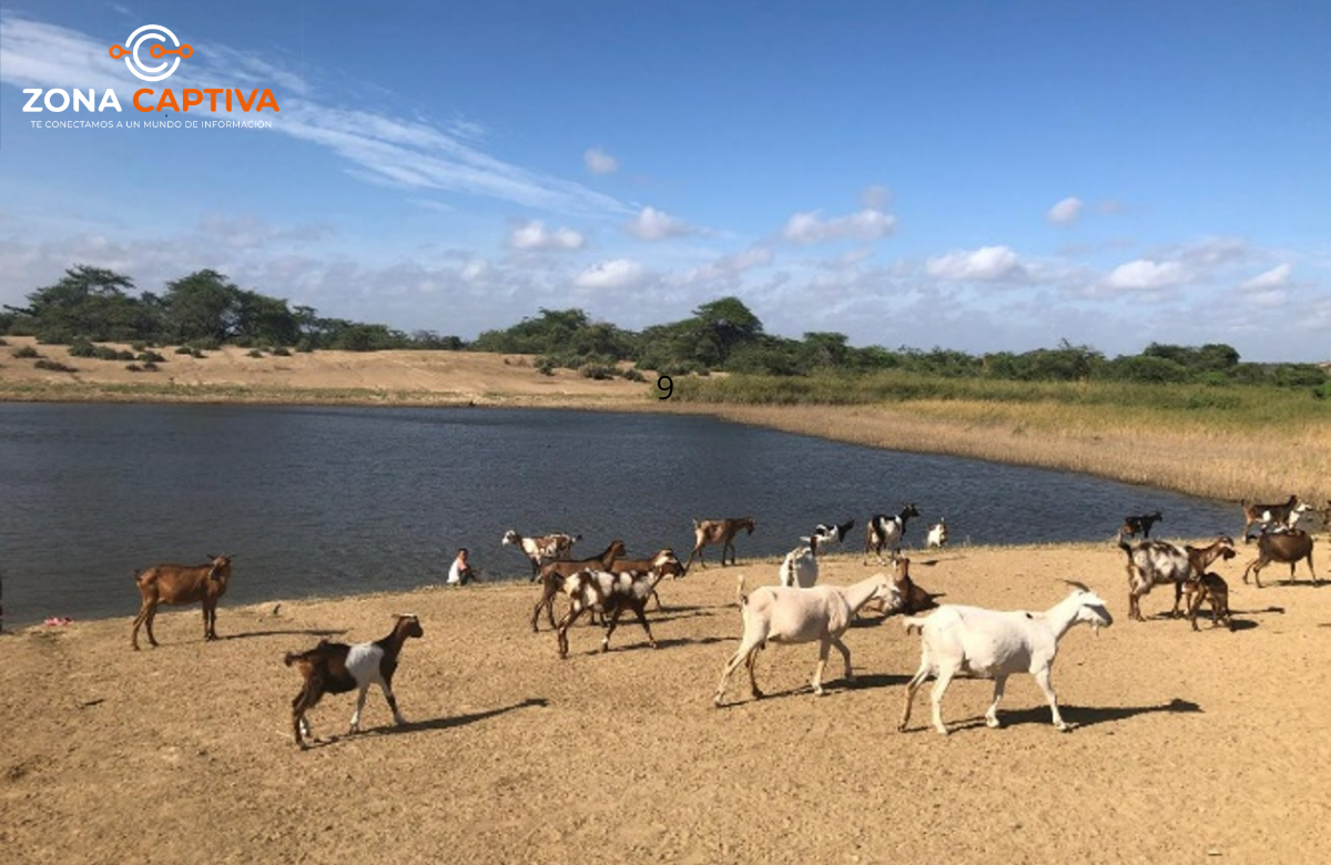 Alianza entre el BID y la Fundación PepsiCo mejoró el acceso al agua de familias Wayuu
