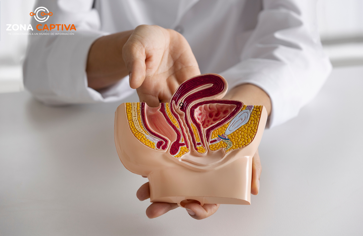 Cuello uterino y colorrectal dos cánceres prevenibles que se detectan tarde