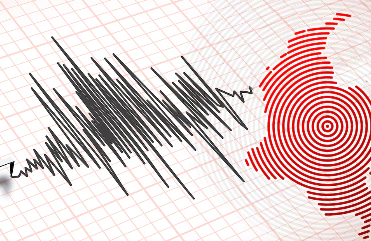 Guía práctica de supervivencia para responder ante un sismo