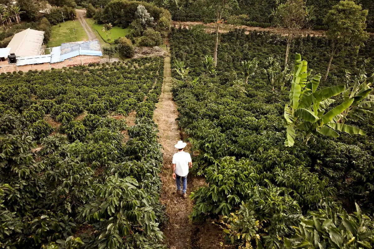 Empresas colombianas podrán acceder a inversión de impacto de hasta USD 250.000 para escalar sus negocios sostenibles
