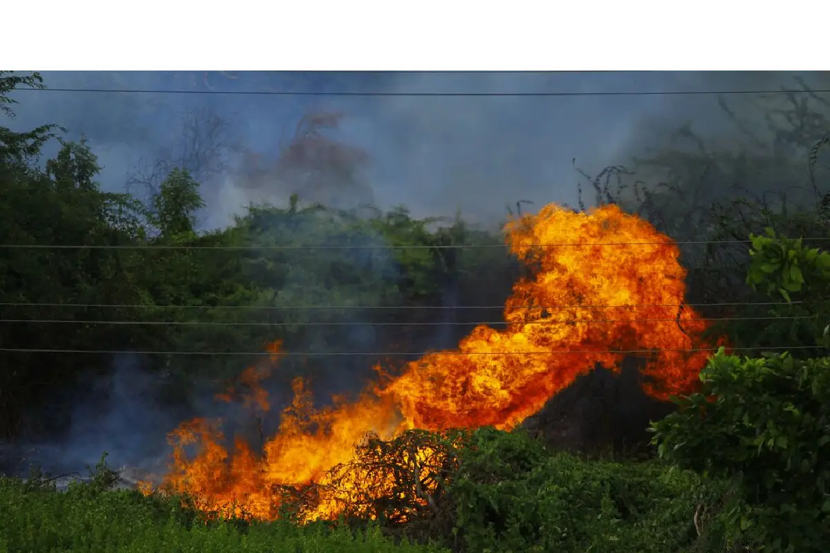 Expertos emiten cuatro recomendaciones para prevenir incendios forestales ante la sequía en Colombia